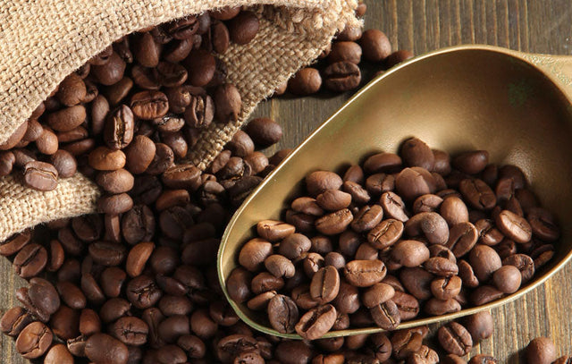 We’re Expanding Free Shipping for U.S. Customers – No Minimum Required!