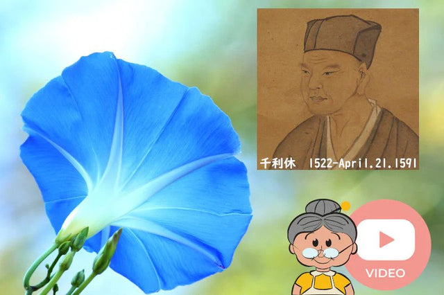 Sen No Rikyu – A Tea master that changed the Japanese tea culture forever