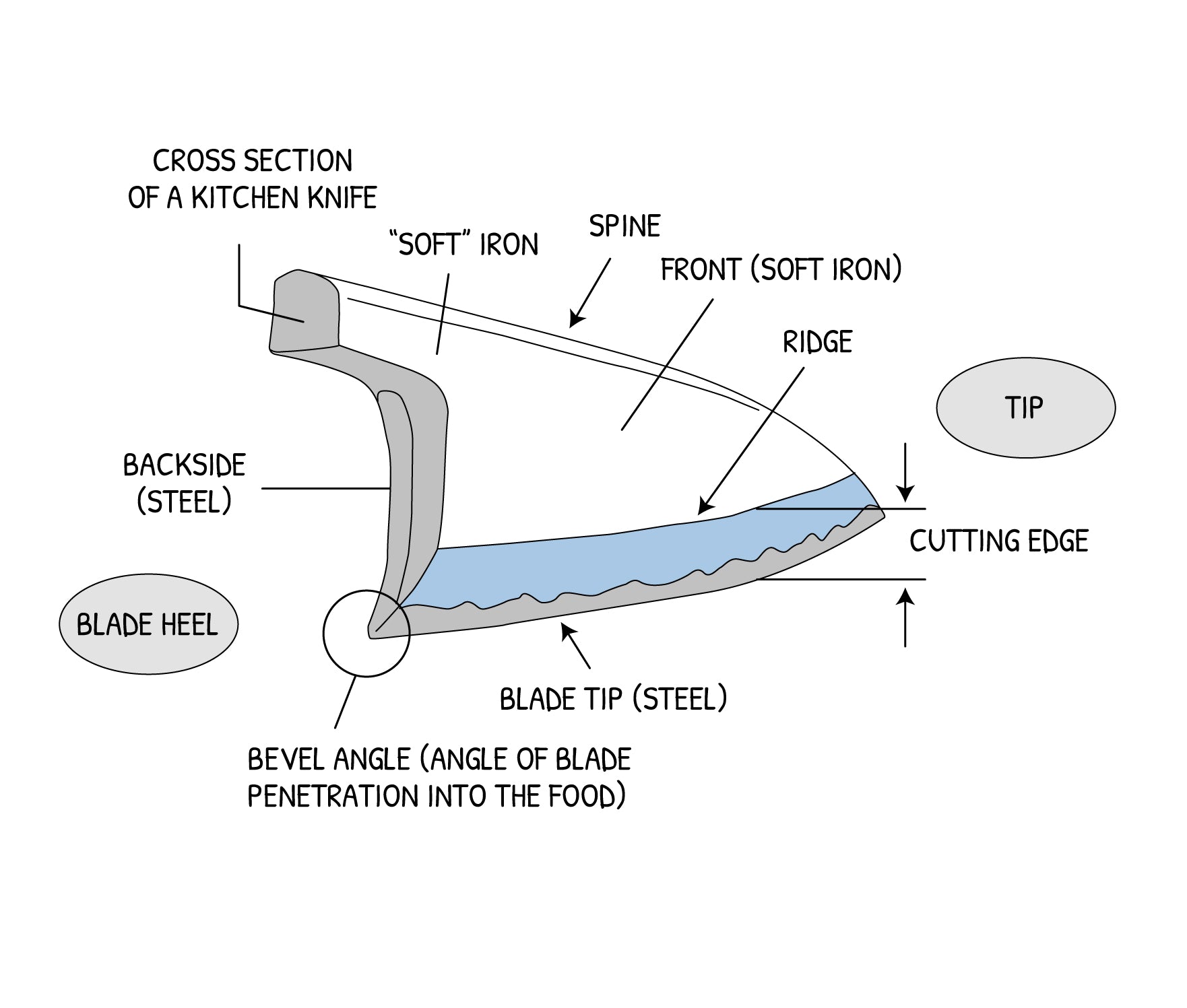 The Blade of this Knife<br>(Single-beveled blades)