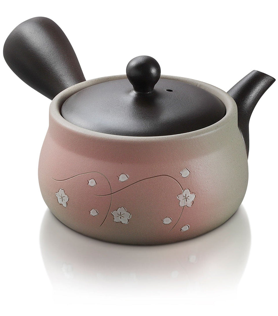 The Beginner Gift Set - Premium Japanese Green Tea and Japanese Tokoname Kyusu Teapot