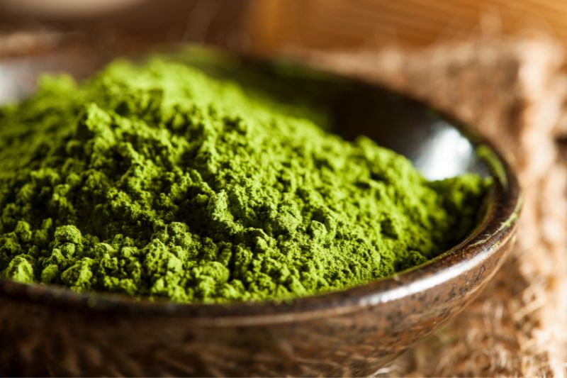 25 Matcha Trivia You (Probably) Didn't Know