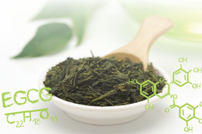 Green Tea Science Part  2: Tannin, and Gallic Acid - 7 Commonly Asked Questions and How You Can Benefit
