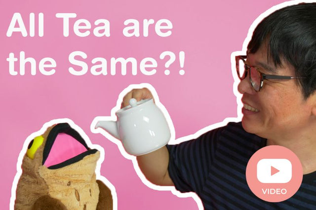 All Tea Are The Same?! -  ChaCha's Green Tea Room Video