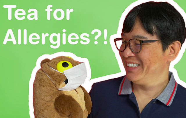 Tea for Allergies?! What is Benifuki Tea? - ChaCha's Geen Tea Room Video