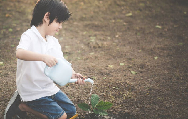 How A Japanese Tea Farm is Fighting Against Japan’s Biggest Problem – Age