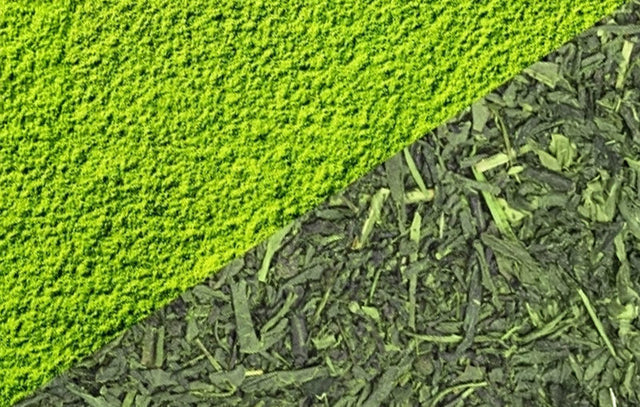 Matcha vs Sencha (Loose-leaf) Green Tea: What Are the Differences?