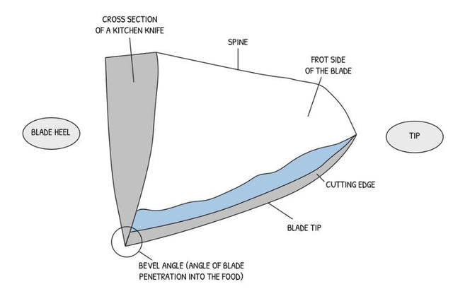 The Anatomy of a Knife – Everything You Need to Know about Parts of a Japanese Knife