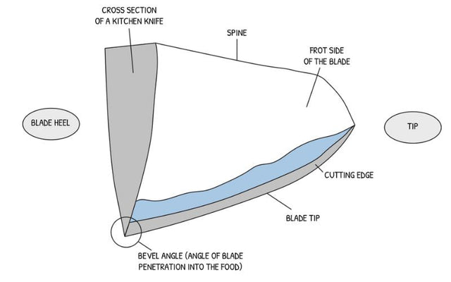 The Anatomy of a Knife – Everything You Need to Know about Parts of a Japanese Knife