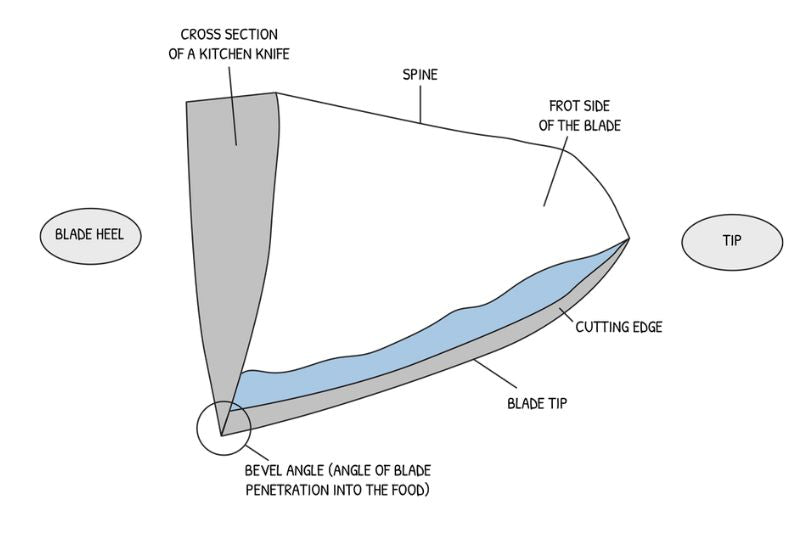 The Anatomy of a Knife – Everything You Need to Know about Parts of a Japanese Knife