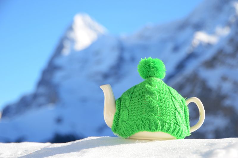 The Best Way to Keep Matcha & Green Tea is to Freeze - Green Tea Quiz