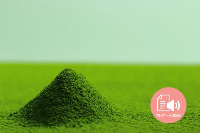 The Process Behind Your Cup of Matcha