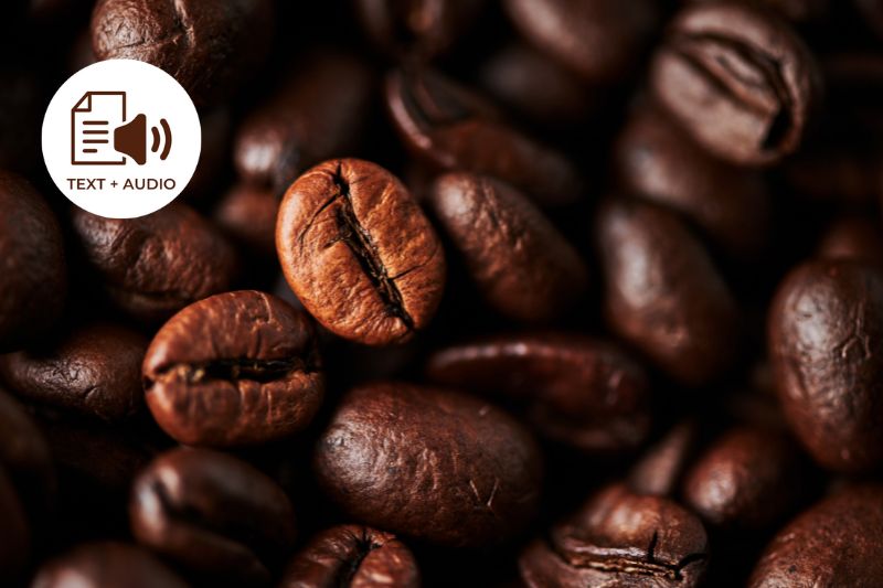 Top 10 Most Exotic Premium Coffees