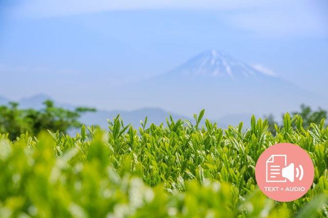 Where Different Types of Japanese Tea are Grown