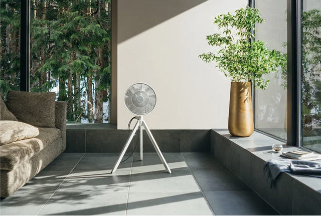 Balmuda NatureWind Studio