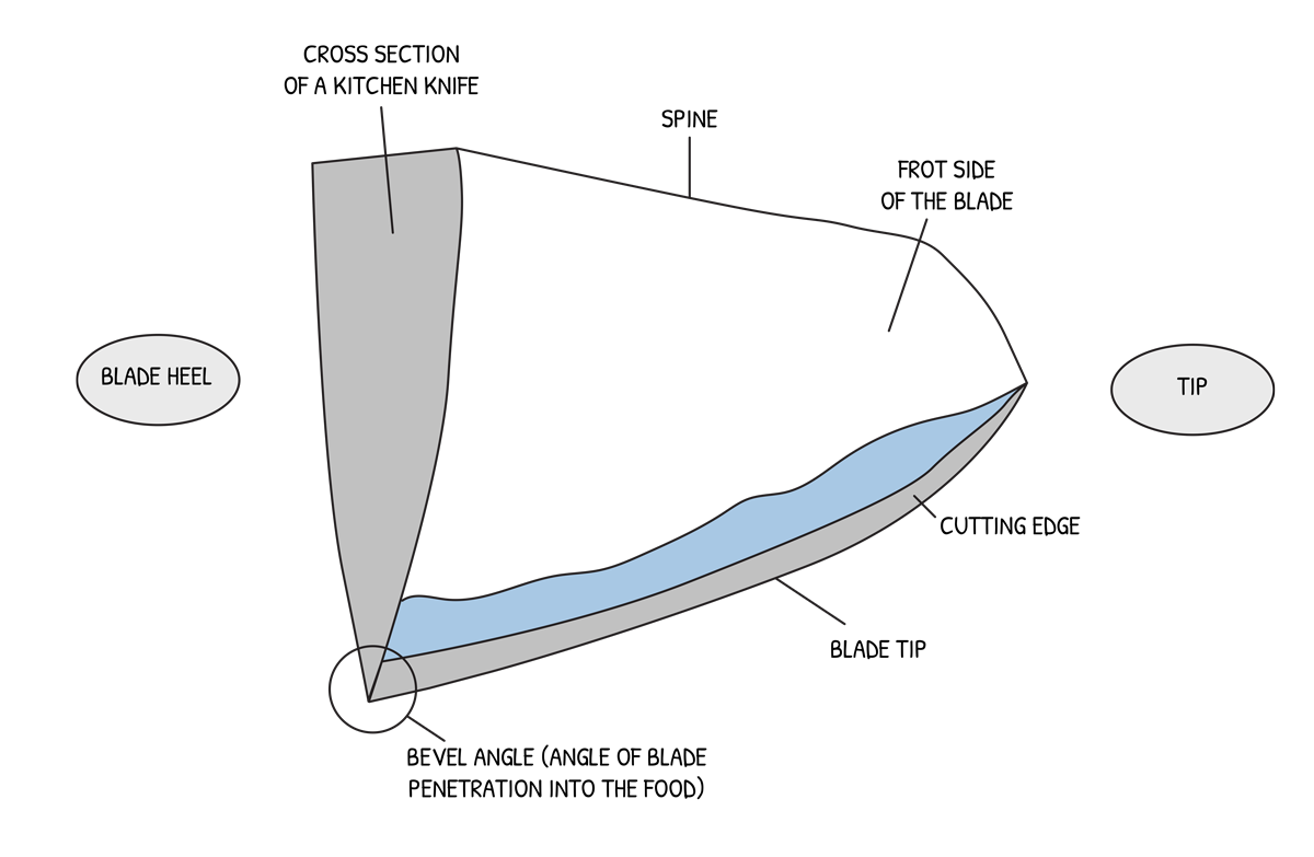 Blade of double-beveled knife