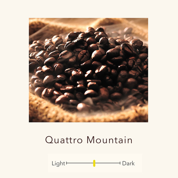Quattro Mountain - Premium Blend Coffee (Colombia, Ecuador, Indonesia, Uganda)