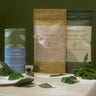 The Shincha Lover Gift Set - 2024 New Crop Premium Japanese Green Tea Set Package