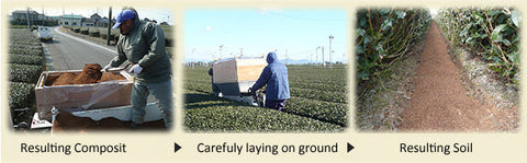 Three photos of the compost process: mixing compost in a wooden box, laying it carefully on the ground between the tea rows, and the resulting dark soil