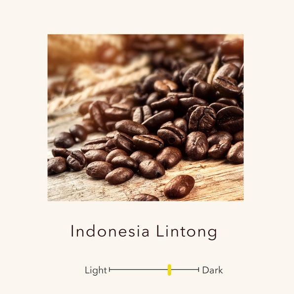 Indonesia - Arabica Typica - Mandheling Berkat Lintong - Single Origin Premium Coffee
