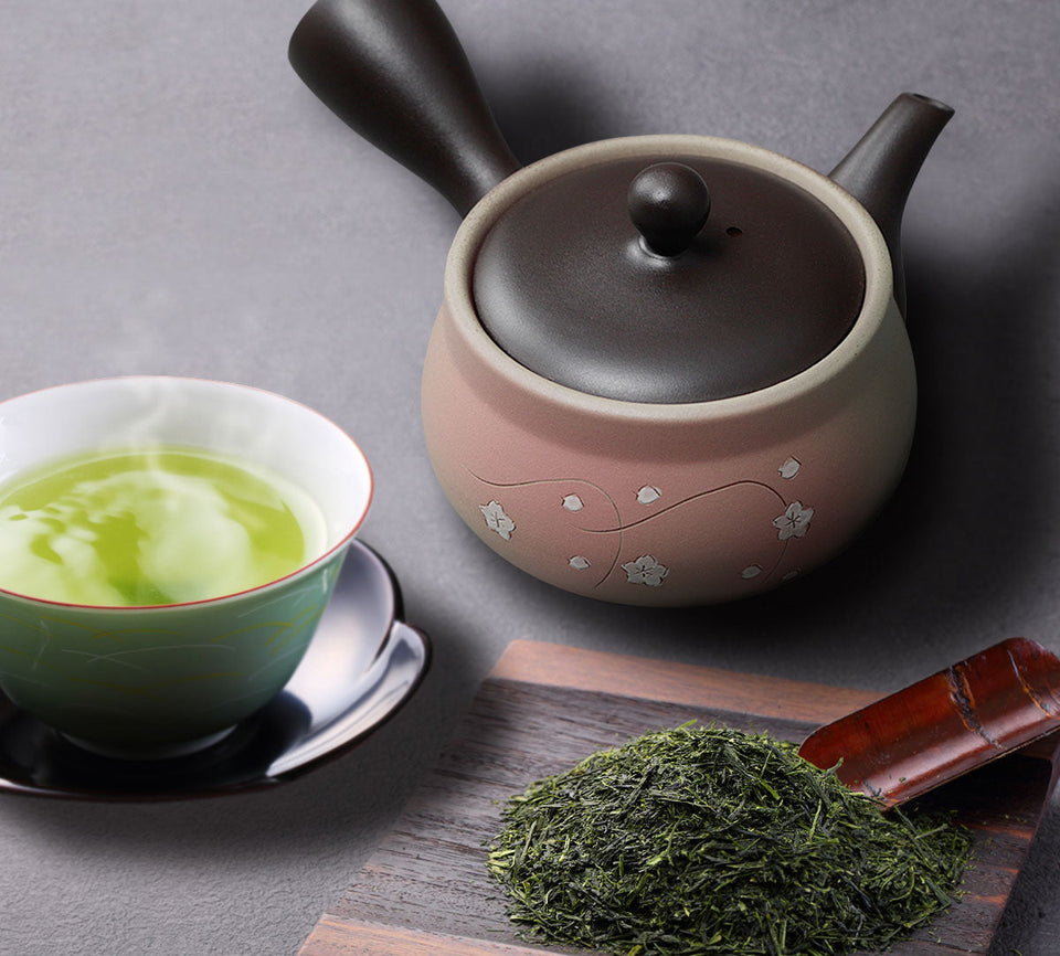Tokoname Yaki - Kyusu - 9 fl Oz (270cc) Teapot for Fukamushi tea