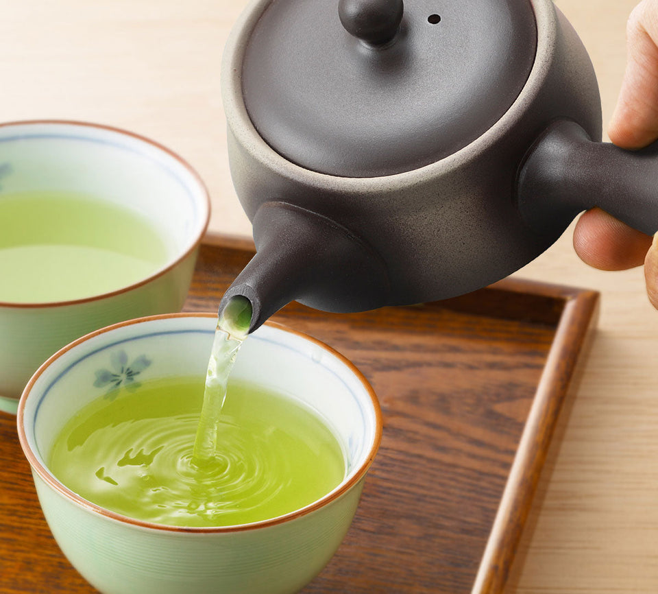 Tokoname Yaki - Kyusu - 9 fl Oz (270cc) Teapot for Fukamushi tea