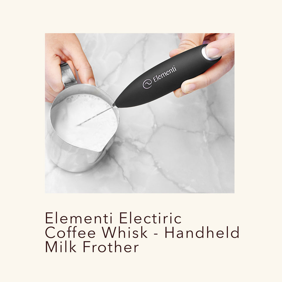 Stainless Steel Handheld Milk Frother - World Market